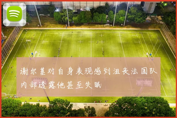 谢尔基对自身表现感到沮丧法国队内部透露他甚至失眠