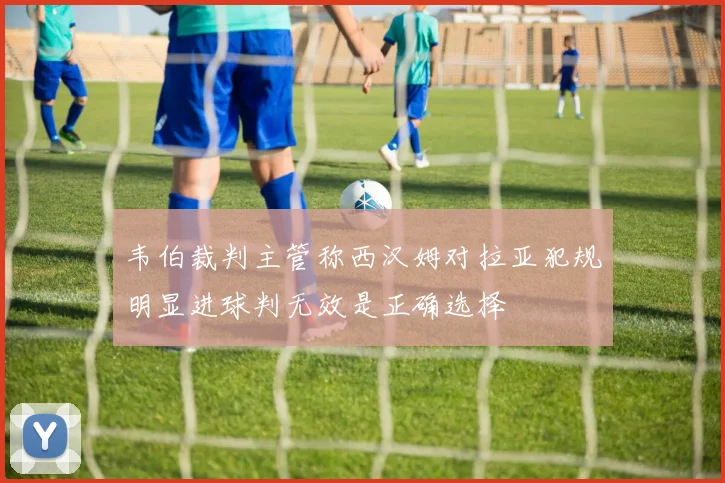韦伯裁判主管称西汉姆对拉亚犯规明显进球判无效是正确选择